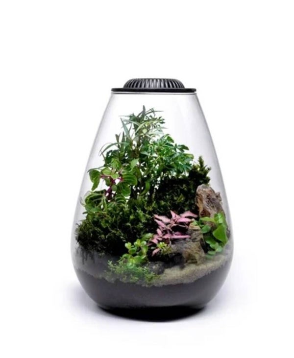 Wabi Kusa Bio Bowl 200 zwart