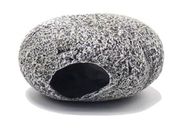 Blue Belle Pacific Hiding Stone S of L