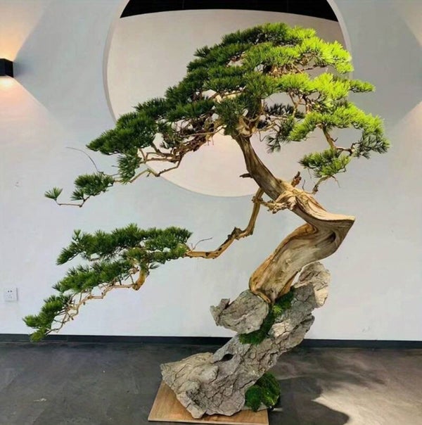 Kunstmatige Bonsai dennentak 35 cm