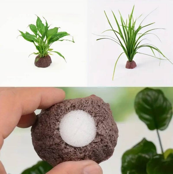 Aquarium planten ringen keramiek