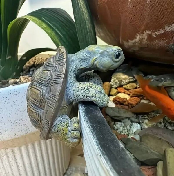 🐢 Tuinschildpad Beeld – Natuurlijke Aquariumdecoratie