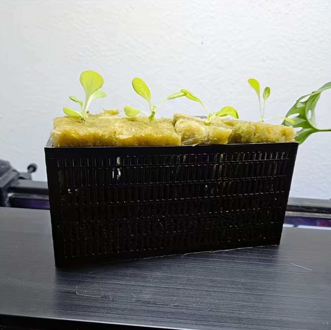 Wandgemonteerde qquarium plantenmand – Grote hangbak voor aquascaping