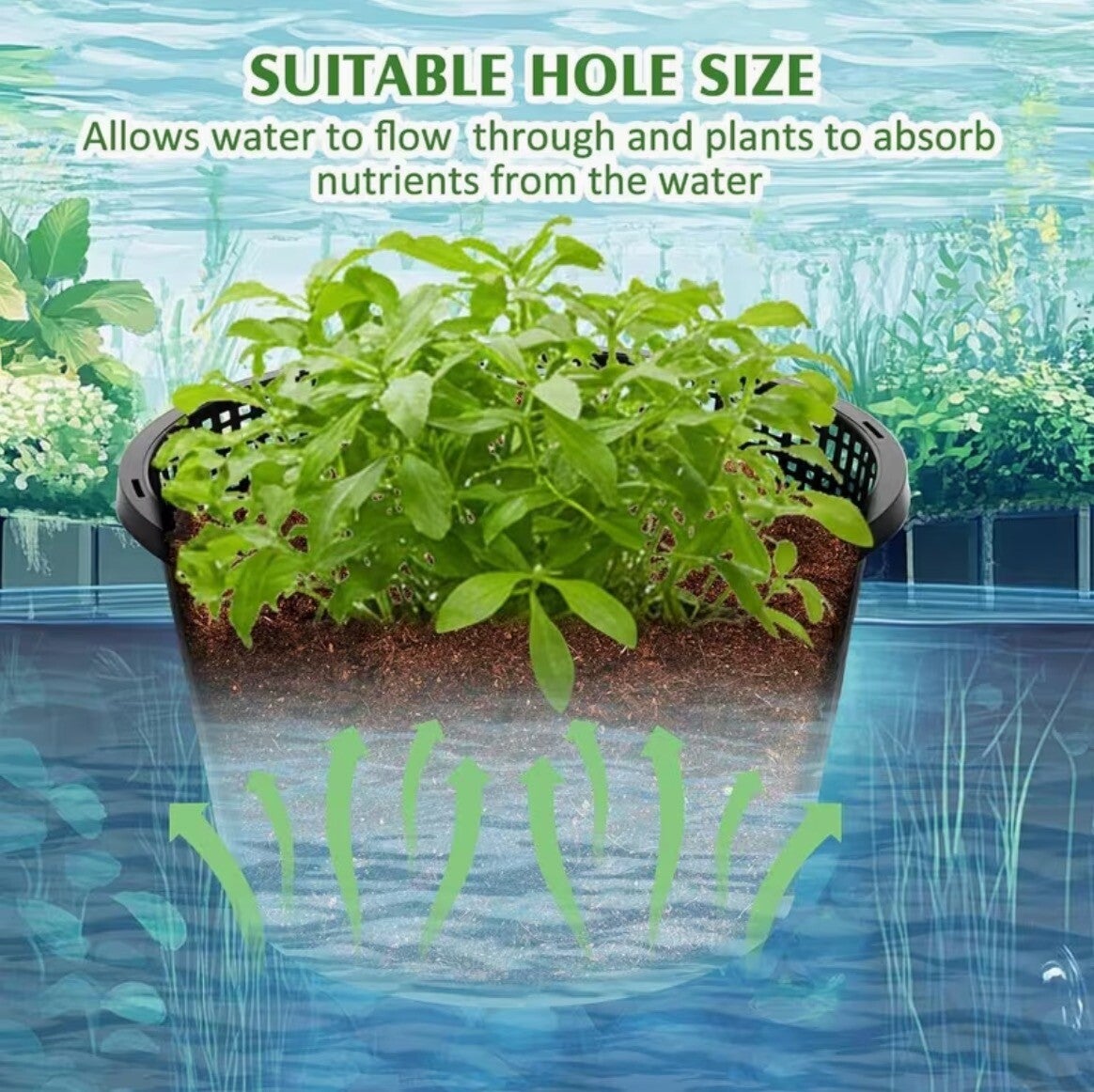 Ronde vijverplantenmand – Grote hydrocultuur netpot (21 cm)