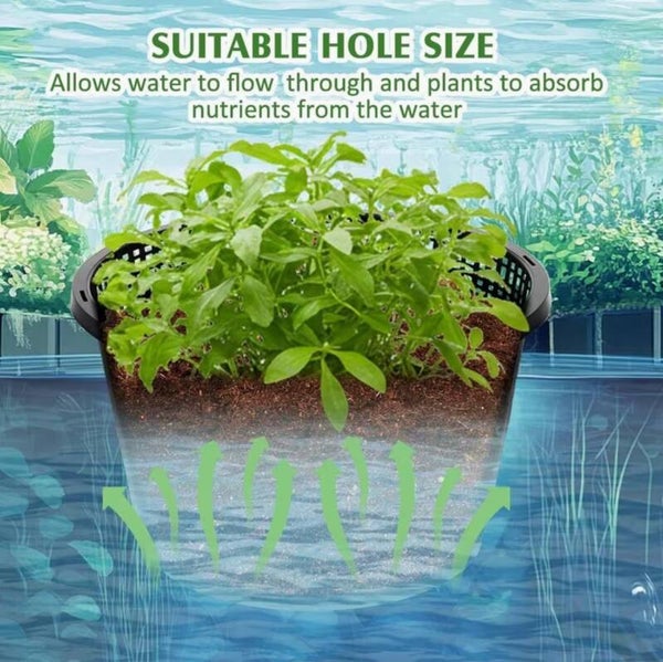 Ronde vijverplantenmand – Grote hydrocultuur netpot (21 cm)