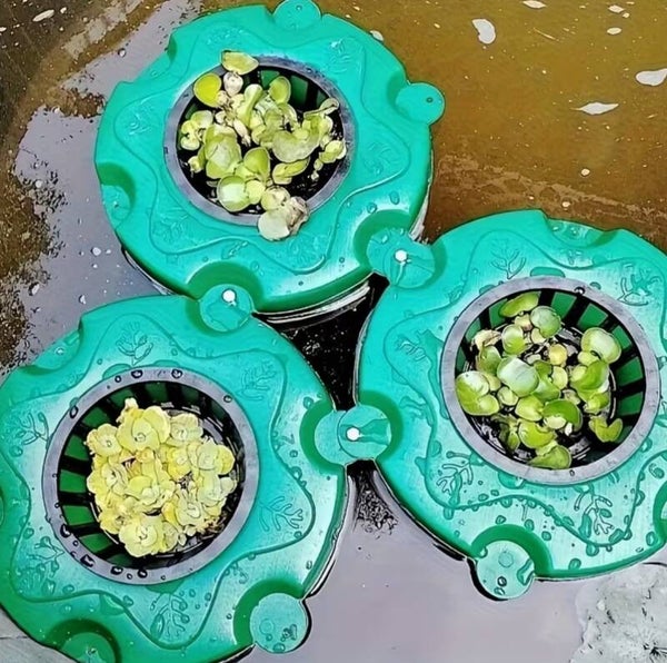 Drijvende plantenhouder voor vijver & aquarium met inzet mand