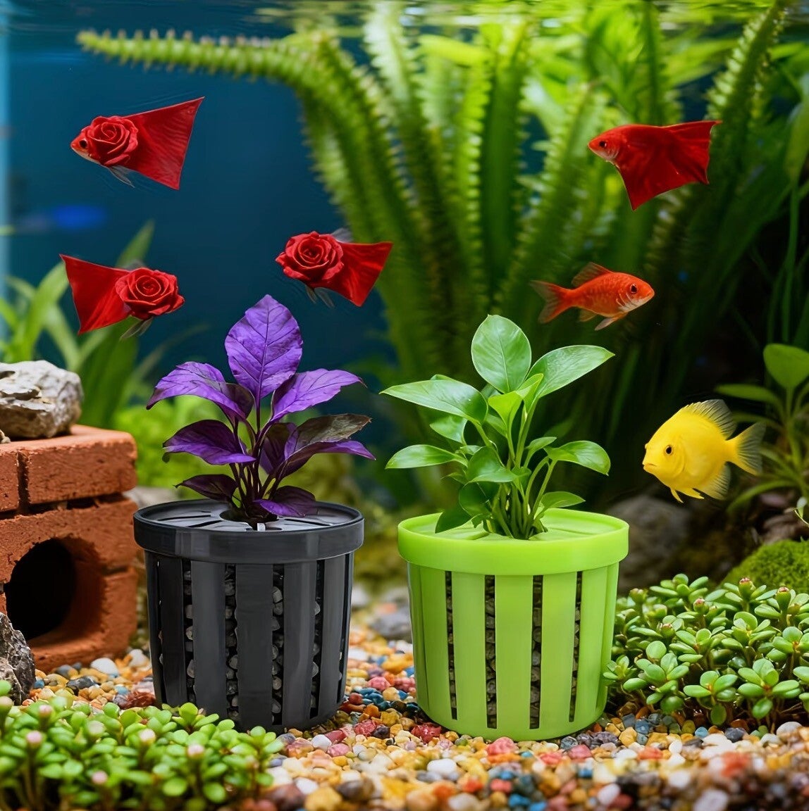 Aquarium plantenbeker – Compacte wortelhouder voor waterplanten