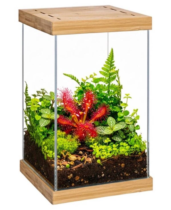 Selva Aquael - Planten terrarium met planten groeilamp, bamboe kap, app gestuurde verlichting dag / nacht