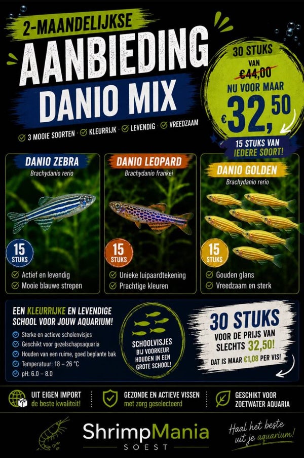 Danio mix – 30 stuks aanbieding