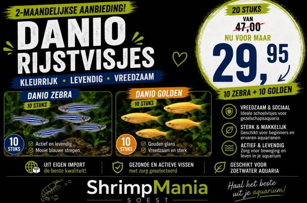 Danio mix – 20 stuks aanbieding