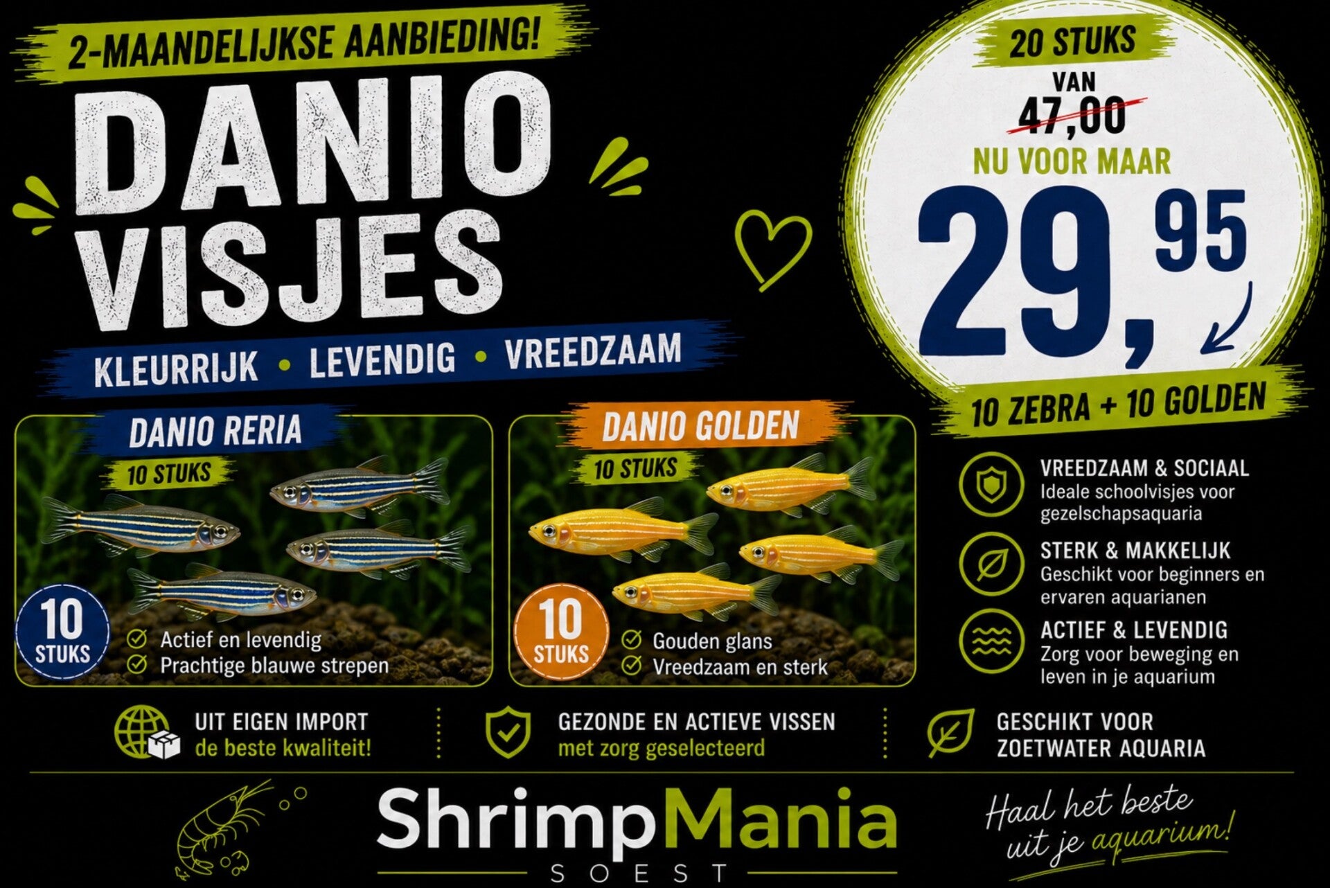 Danio mix – 20 stuks aanbieding