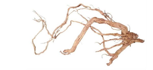 HS Aqua Azalea Root M 50-80 cm