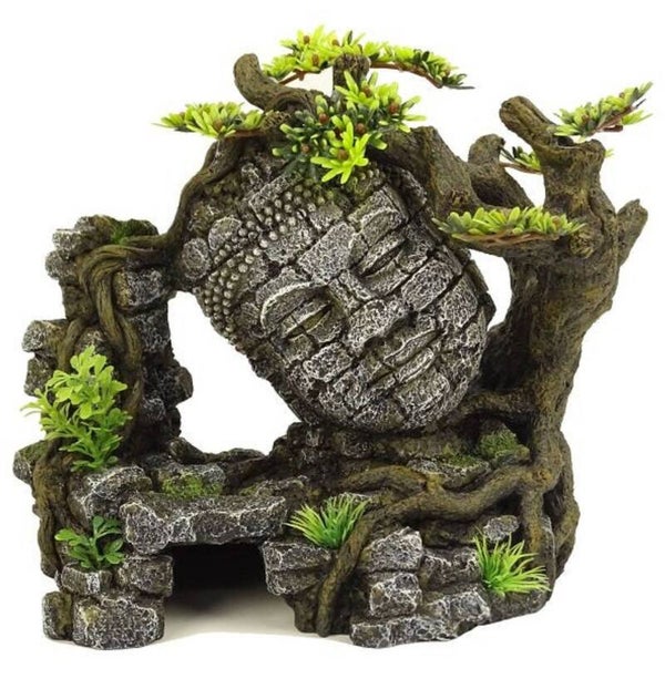 Blue Belle Pacific Ankor Wat Bonsai 25,5 × 14,8 × 21,5 cm
