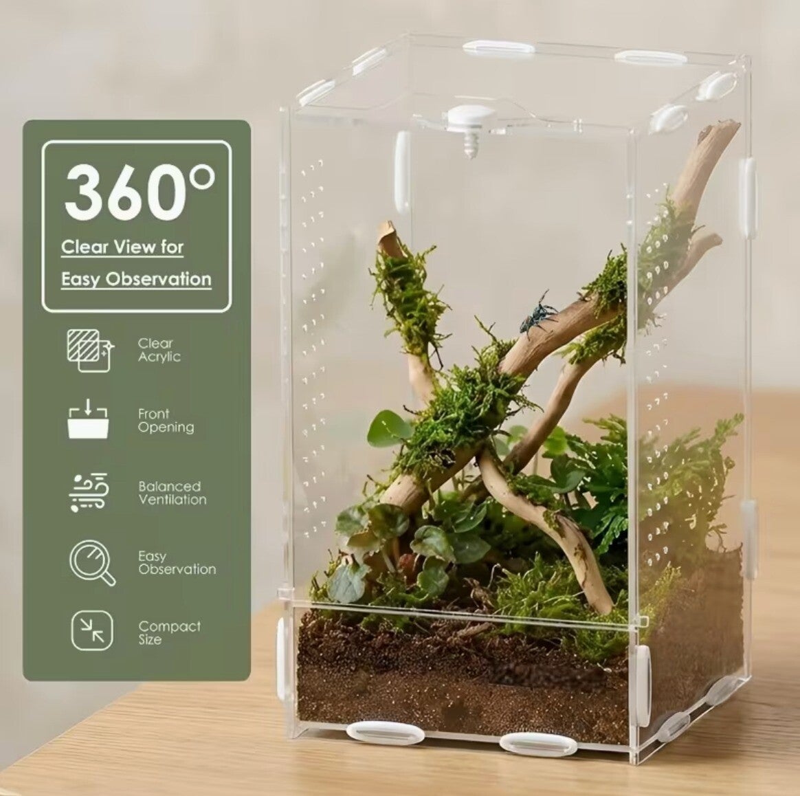 Acryl terrarium met vooropening – 12 × 12 × 20 cm