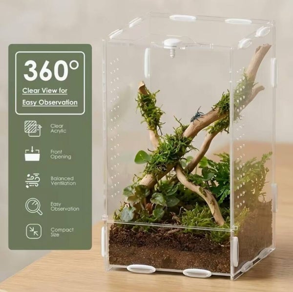 Acryl terrarium met vooropening – 12 × 12 × 20 cm