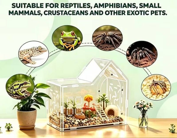 Acryl terrarium met puntdak – 21,7 × 10,5 × 16,8 cm