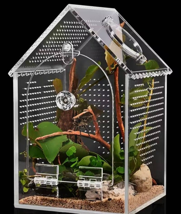 Acryl terrarium met puntdak en voerluik – 12 × 12 × 20 cm