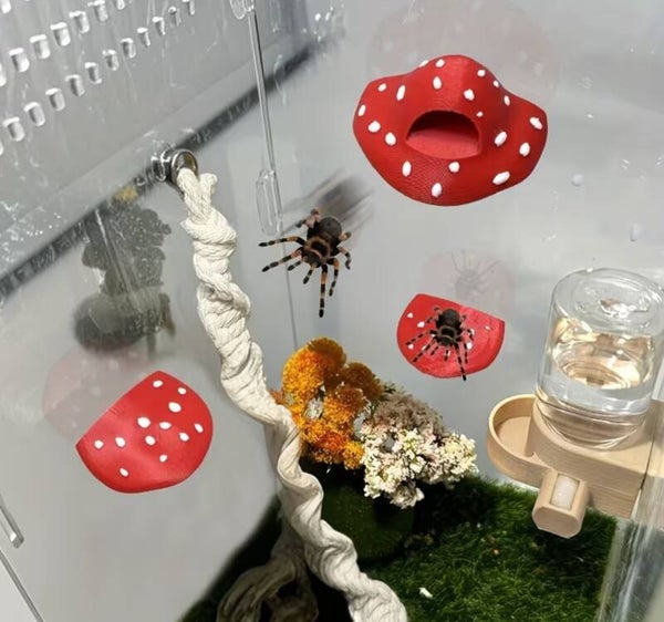 Paddenstoel schuilhuisje met klimplateaus voor springspinnen