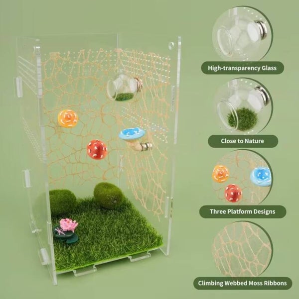 Springspinnen decoratieset – 6-delig met paddenstoelplatforms
