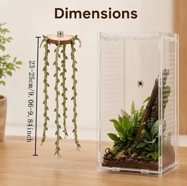 Magnetisch hangplatform met klimlianen voor springspinnen