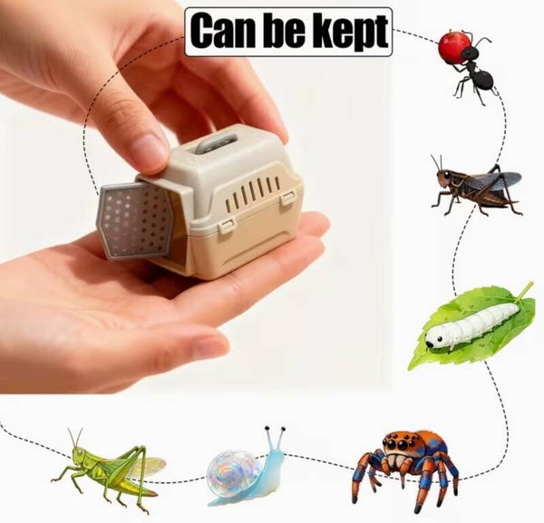 Mini transportbox voor insecten – 2 stuks