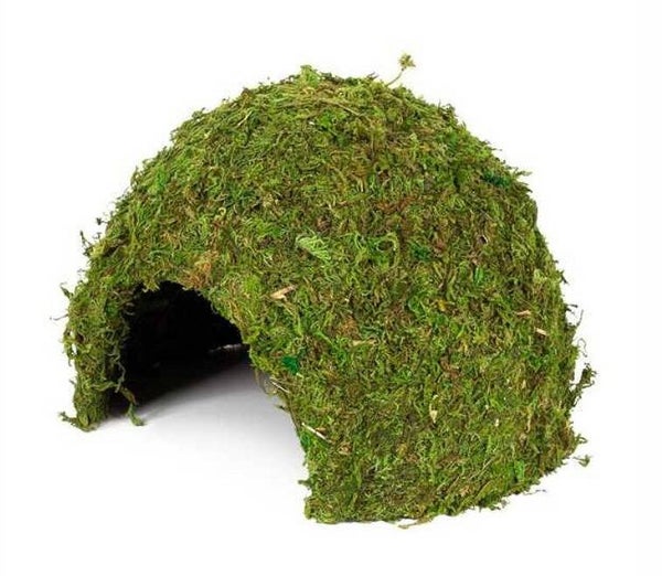 HOBBY Terrarium Jungle Cave 1 – 11 × 11 × 9 cm