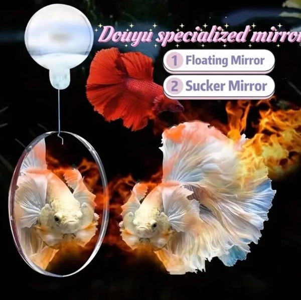 Betta training spiegel 4 cm