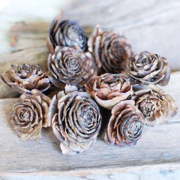 Cedar rozen 4-6 cm, per 3 stuks