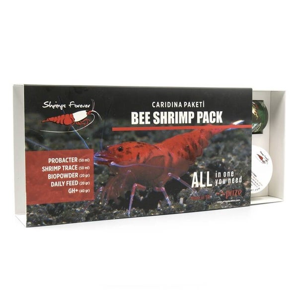 Shrimps Forever Caridina box