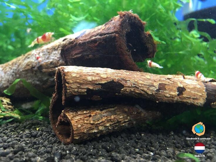 Catappa bark tubes 15-20 cm lang
