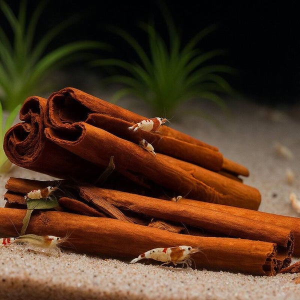 Cinnamon-kaneel bark tube 6 stuks