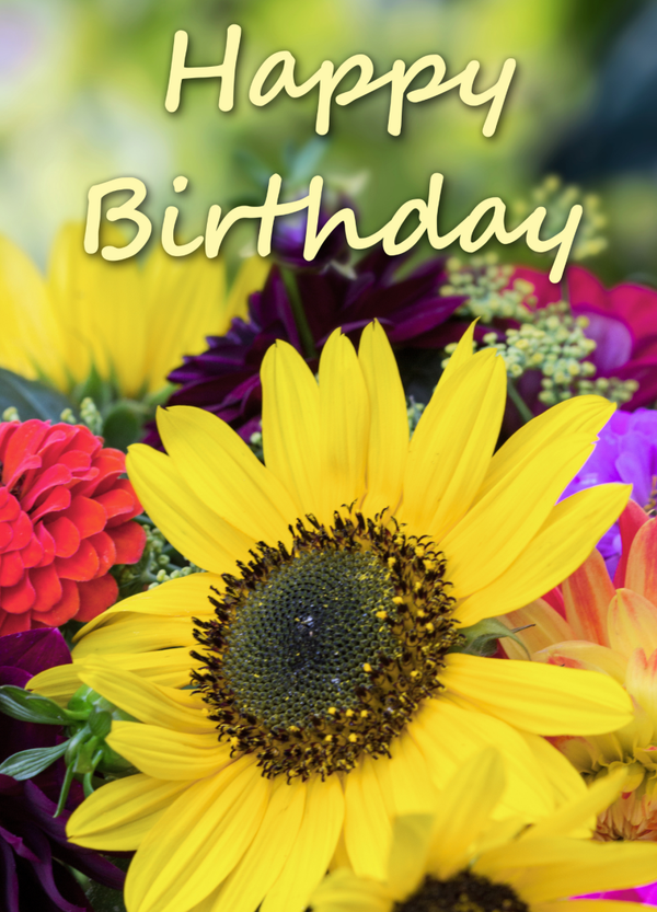 Happy Birthday HB-26110