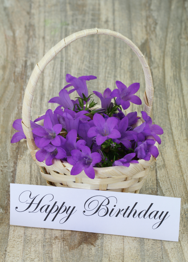 Happy Birthday HB-26114