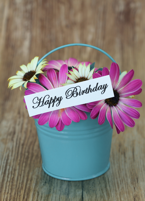 Happy Birthday HB-26115