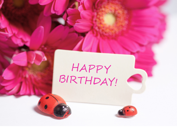 Happy Birthday HB-26123