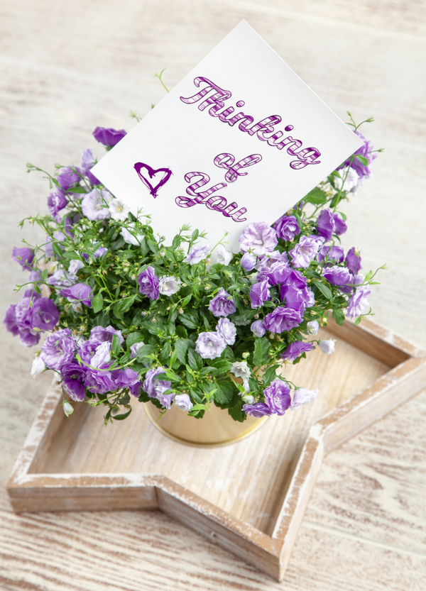 Thinking of you card TOY-2656