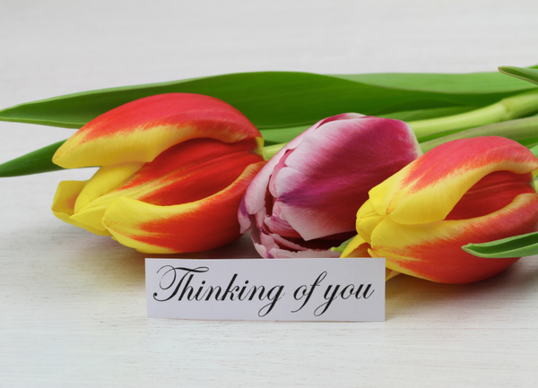 Thinking of You card TOY-2660