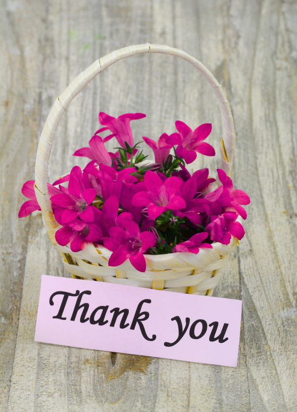 Thank you card TY-2674