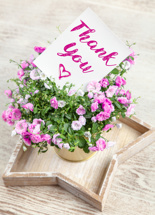 Thank you card TY-2676