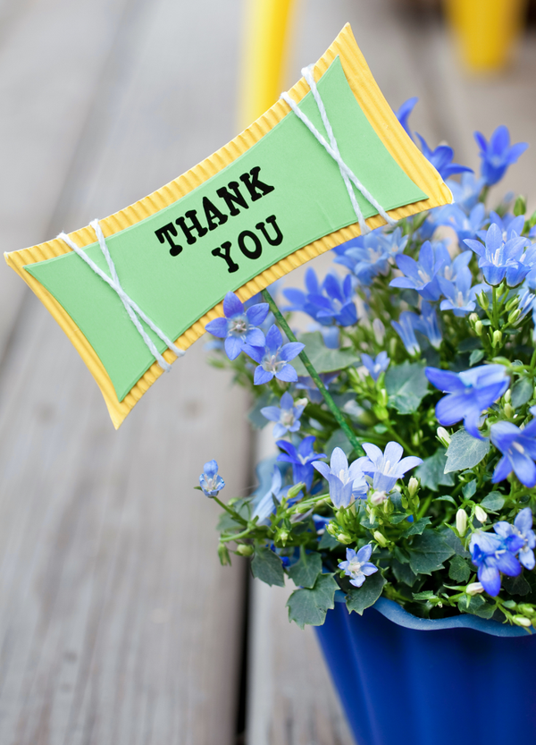 Thank you card TY-2677