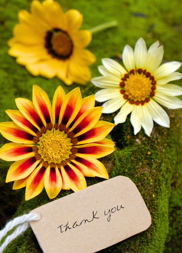 Thank you card TY-2678