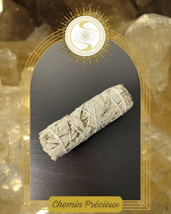 Bâton de sauge blanche