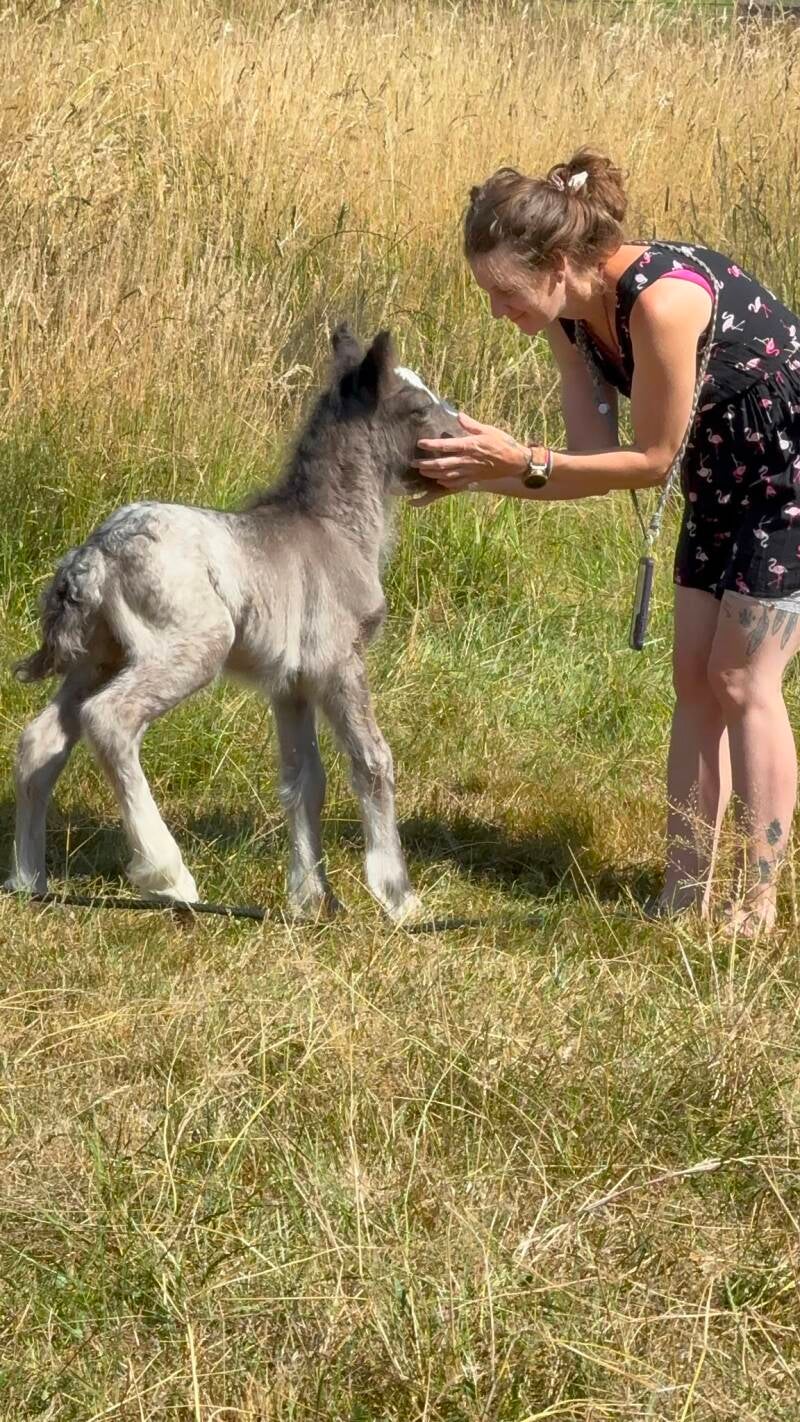 Eine junge Frau mit roten Haaren steht glücklich auf einer grünen Weide neben der Pony-Stute Raya und ihrem neugeborenen Fohlen Spirit