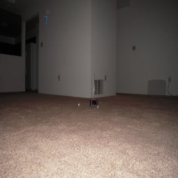 1-alone-orb-standard.jpg