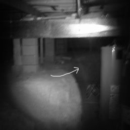 pic_0045-orb-rod-compare-to-pic-0052-standard.jpg