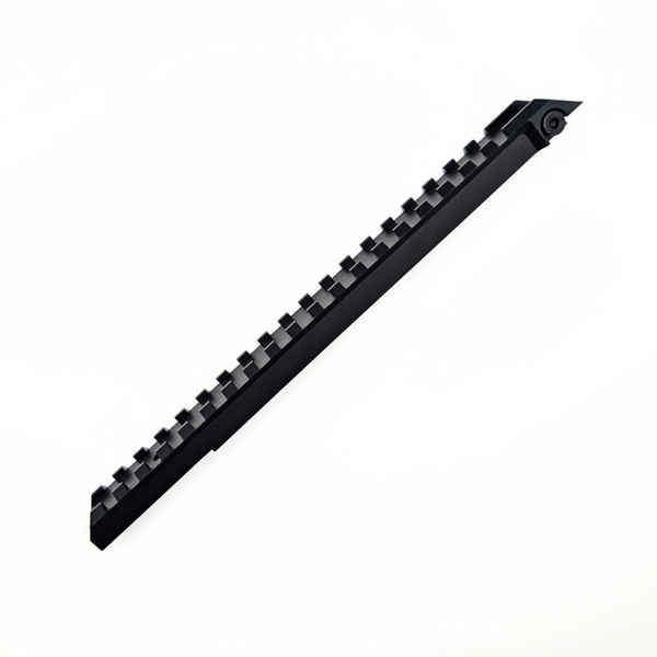 STGW57 Picatinnyschiene
