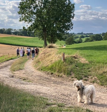 Zangeressen wandelen in Limburgs Heuvelland tijdens Zomer Zangweek