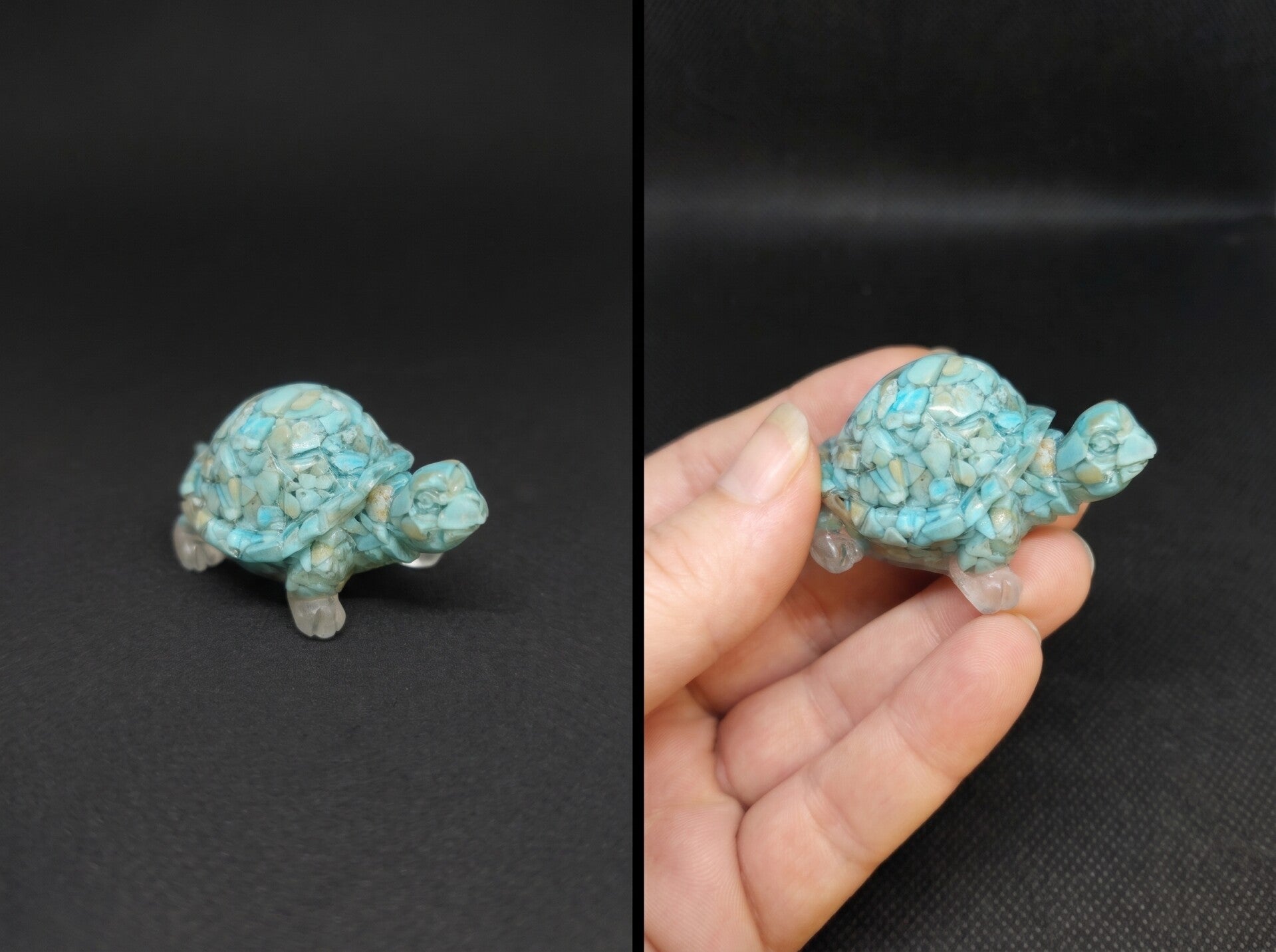 Tortue - TOR3