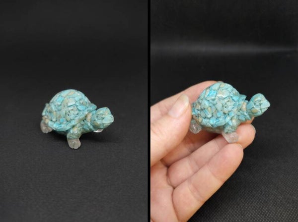 Tortue - TOR3