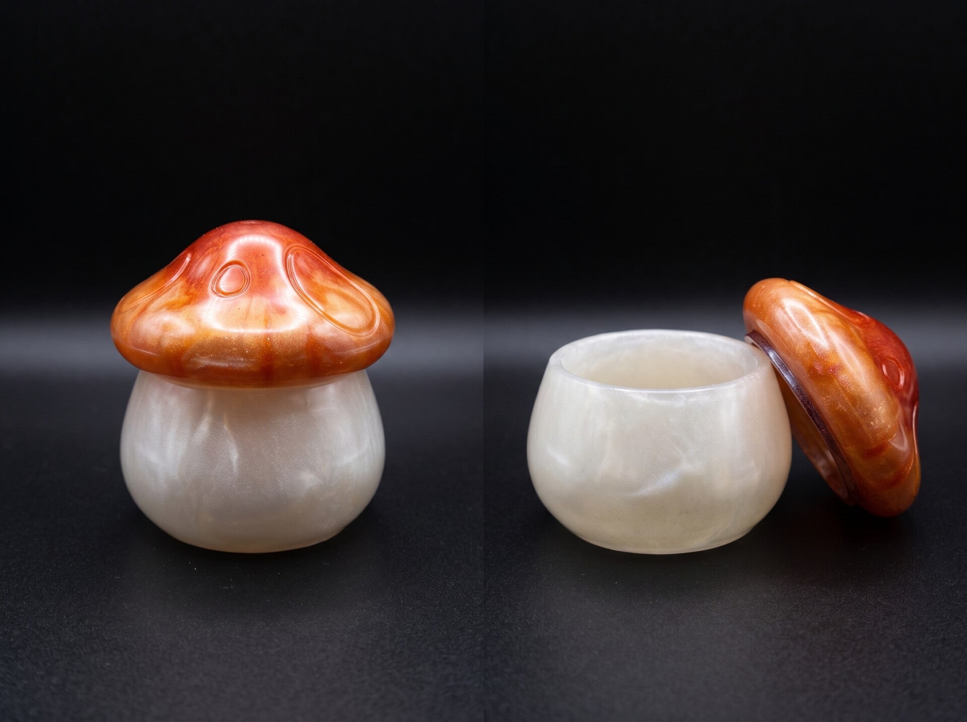 Boite Champignon - Référence :  CH1