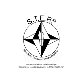 S.T.E.R. opleidingen Online, STER opleidingen Online,, 10 huishodingen en 17 energetische behandelpunten, grops opleiding voor vrienden, familie, kennieskring en collega's 4 personen.